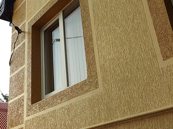 Варианты и специфика окраски короеда в два цвета