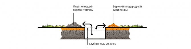 Выкопка ямы для посадки растений